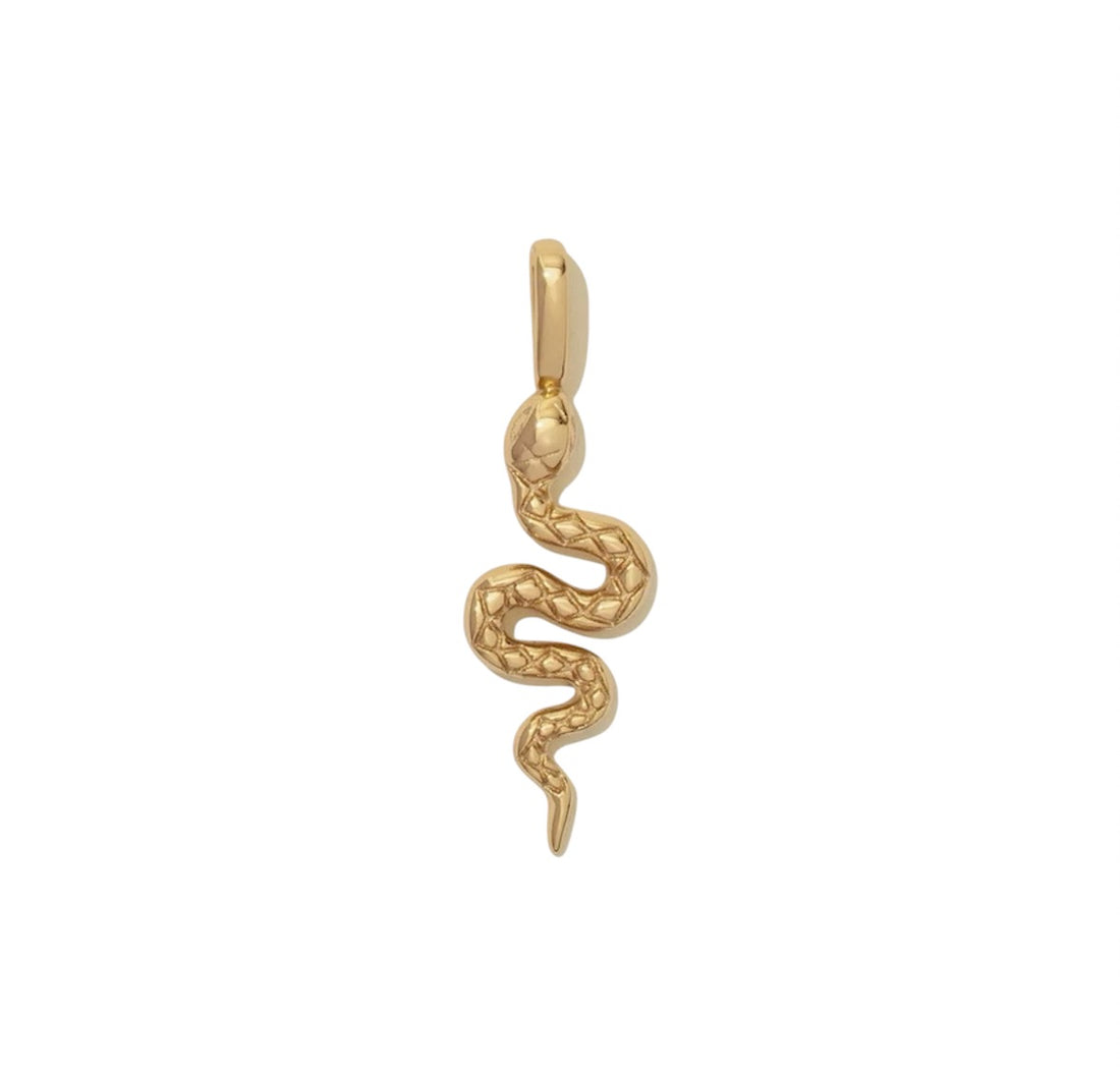 Charm serpente magico