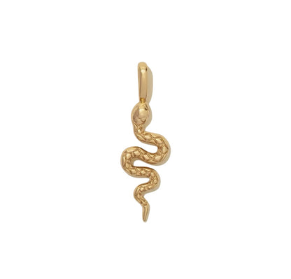 Charm serpente magico